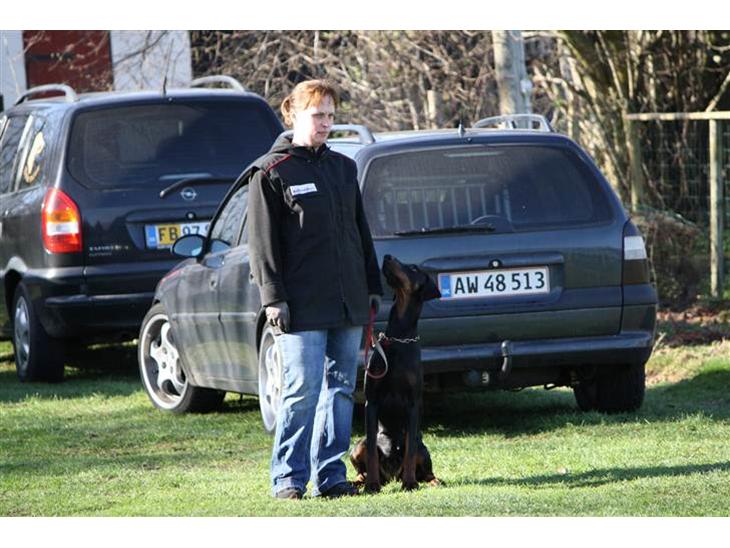 {{currentPhoto.altText}} billede {{currentPhoto.number}}