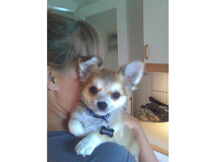 {{currentPhoto.altText}} billede {{currentPhoto.number}}