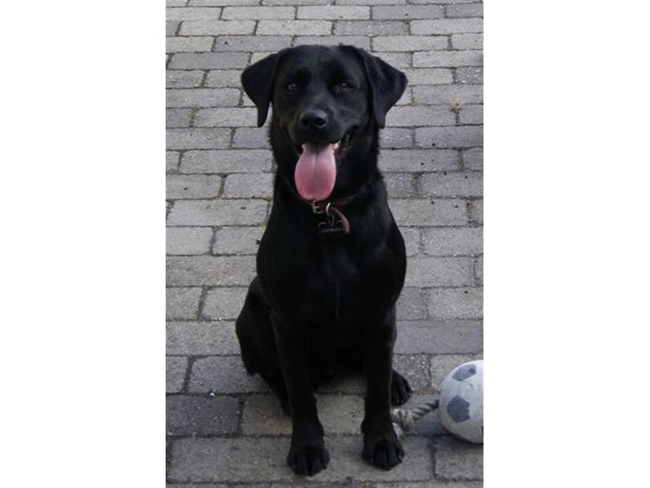 {{currentPhoto.altText}} billede {{currentPhoto.number}}