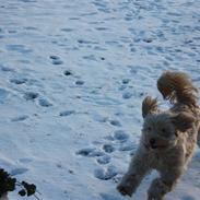 Blanding af racer Mille