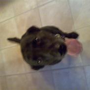 Blanding af racer Zak