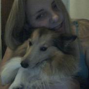 Shetland sheepdog Mind Me Micha