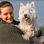 West highland white terrier Milo