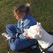 Blanding af racer Luna