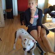 Blanding af racer Luna