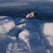 Blanding af racer Luna