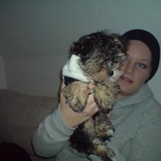 Blanding af racer Chika