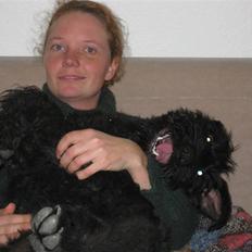 Riesenschnauzer Doolittle Kiwi