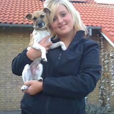 Blanding af racer Luca