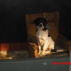 Blanding af racer Basse<3