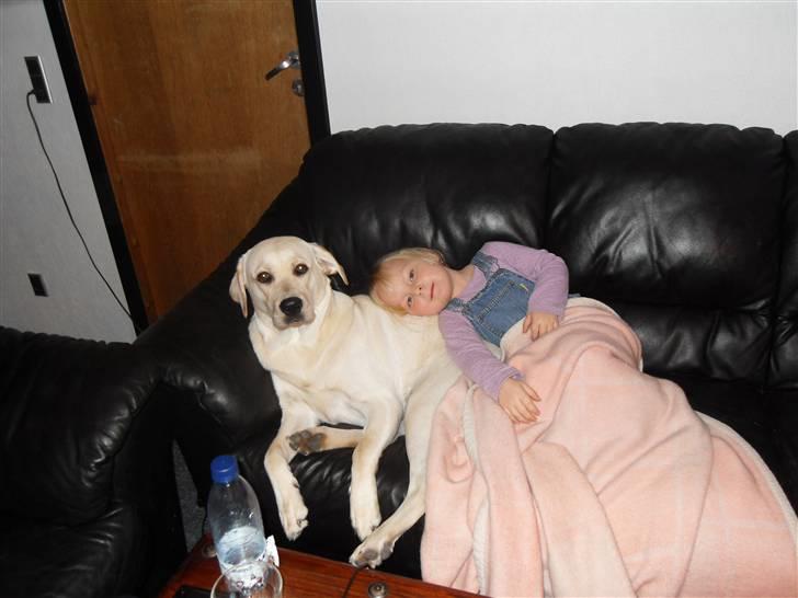 Blanding af racer Molly <3 billede 4