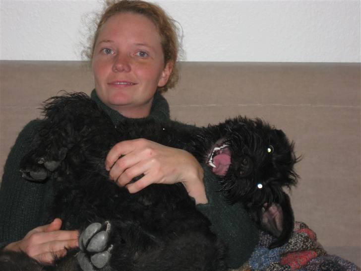 Riesenschnauzer Doolittle Kiwi - Kiwi og jeg hygger/fjoller d. 23 - 11 / 2007 billede 2