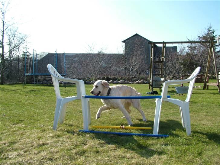 Blanding af racer Mille RIP 11/4-16 billede 10