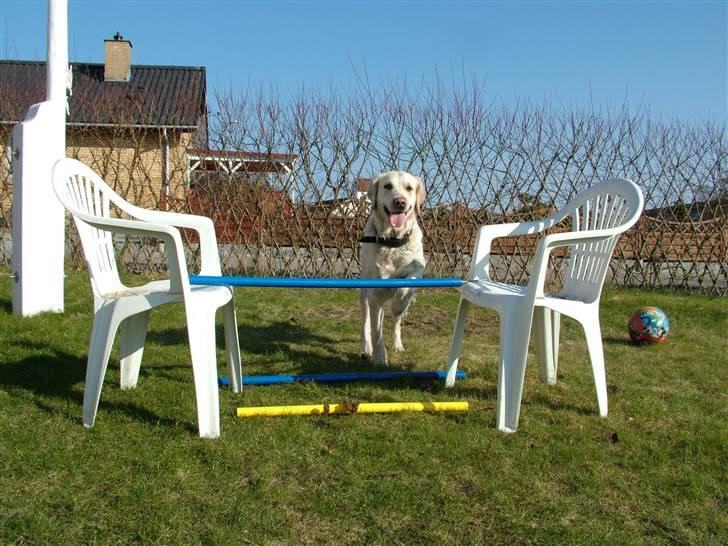 Blanding af racer Mille RIP 11/4-16 billede 12