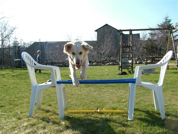 Blanding af racer Mille RIP 11/4-16 billede 13