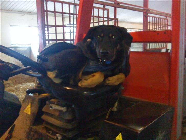 Blanding af racer max / maxi - ja ja bare fordi jeg godt kan lide maskiner, og?? billede 8