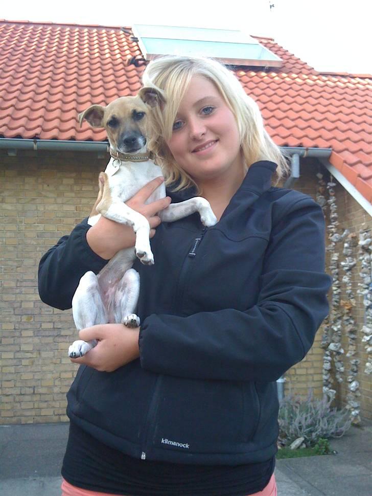 Blanding af racer Luca billede 9