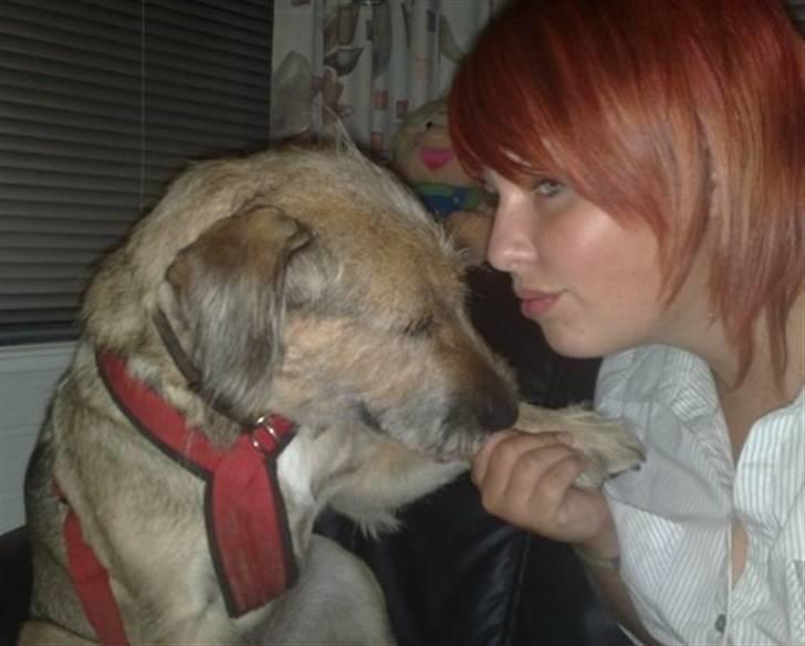 Blanding af racer Futte  - på min 18 års fødelsdag billede 5