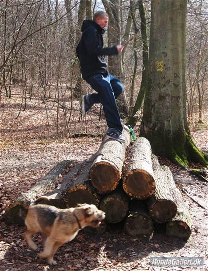 Blanding af racer Futte  - på skovtur den 10/4-10 futte løber sammen med min kæreste :) billede 16