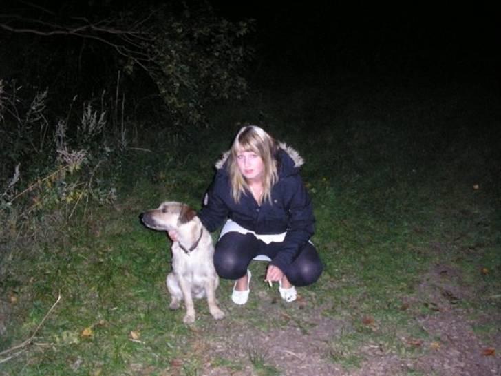 Blanding af racer Futte  billede 19