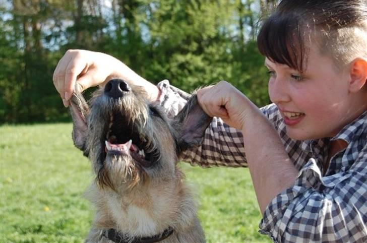 Blanding af racer Futte  - sidste sommer :)  billede 20