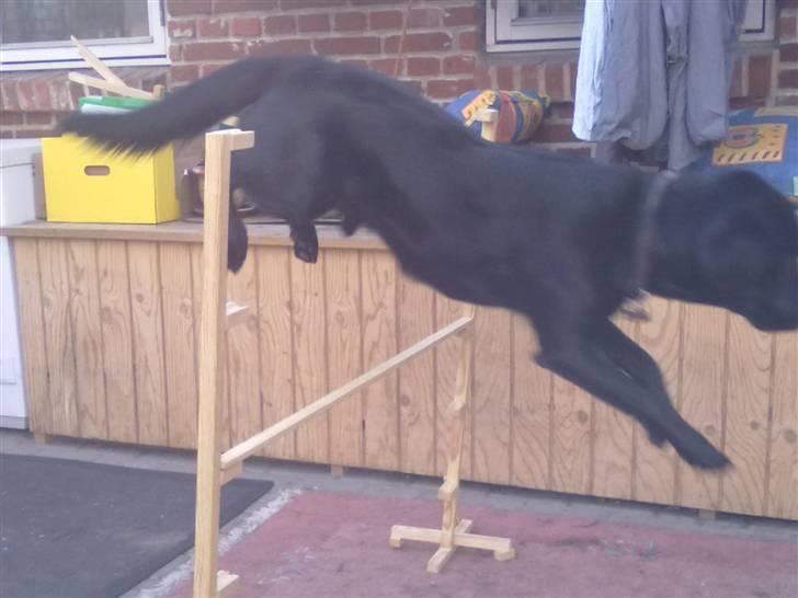 Blanding af racer Nick<3 - Vi springer :) billede 6