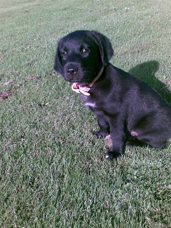 Blanding af racer Nick<3 - Da jeg var lille dreng :) billede 7