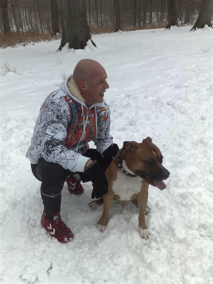 Amerikansk staffordshire terrier Tyson R.I.P den 31/03-11 - Her jeg sammne med min dejlige far.. :D billede 6