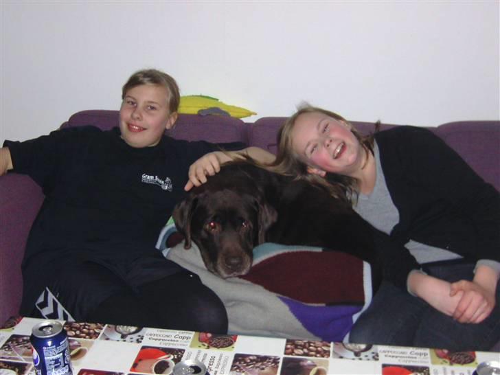 Labrador retriever Chako - Der er en der se lidt mosset ud, selvom man ligger mellem to dejlige piger. billede 13