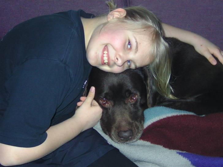 Labrador retriever Chako - "Gider I ik godt lade mig ligge?" billede 14