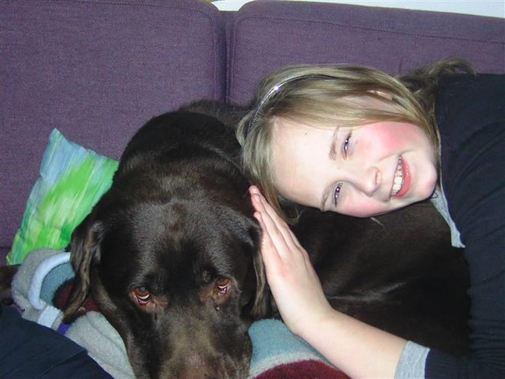 Labrador retriever Chako - "Har I ik snart nok billeder?" billede 15