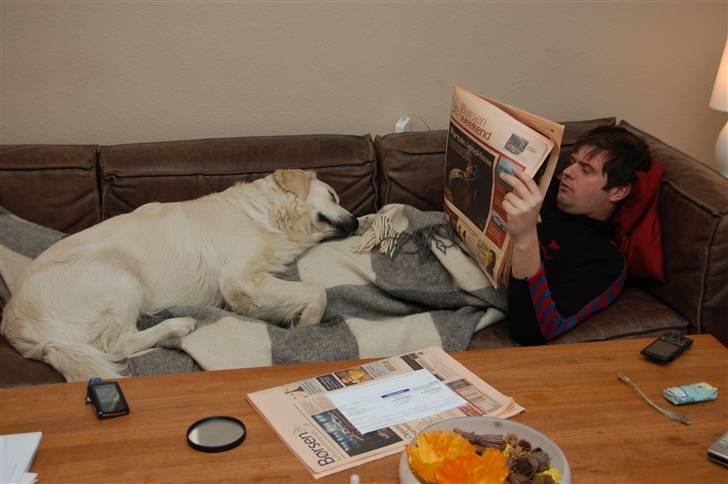 Golden retriever Bounty (RIP)  billede 19