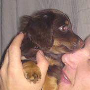 Blanding af racer Gucci