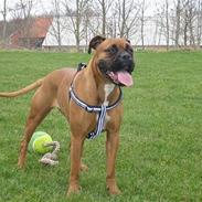 Blanding af racer Bertha