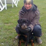 Rottweiler Xinka's Esak