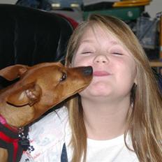 Dvaergpinscher Perle