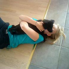 Labrador retriever Baloo