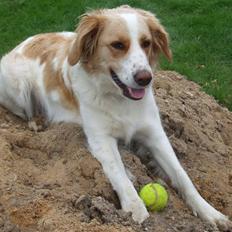 Blanding af racer Tulle