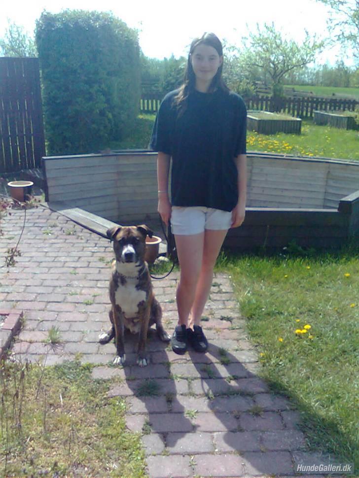 Blanding af racer Charlie R.I.P billede 12