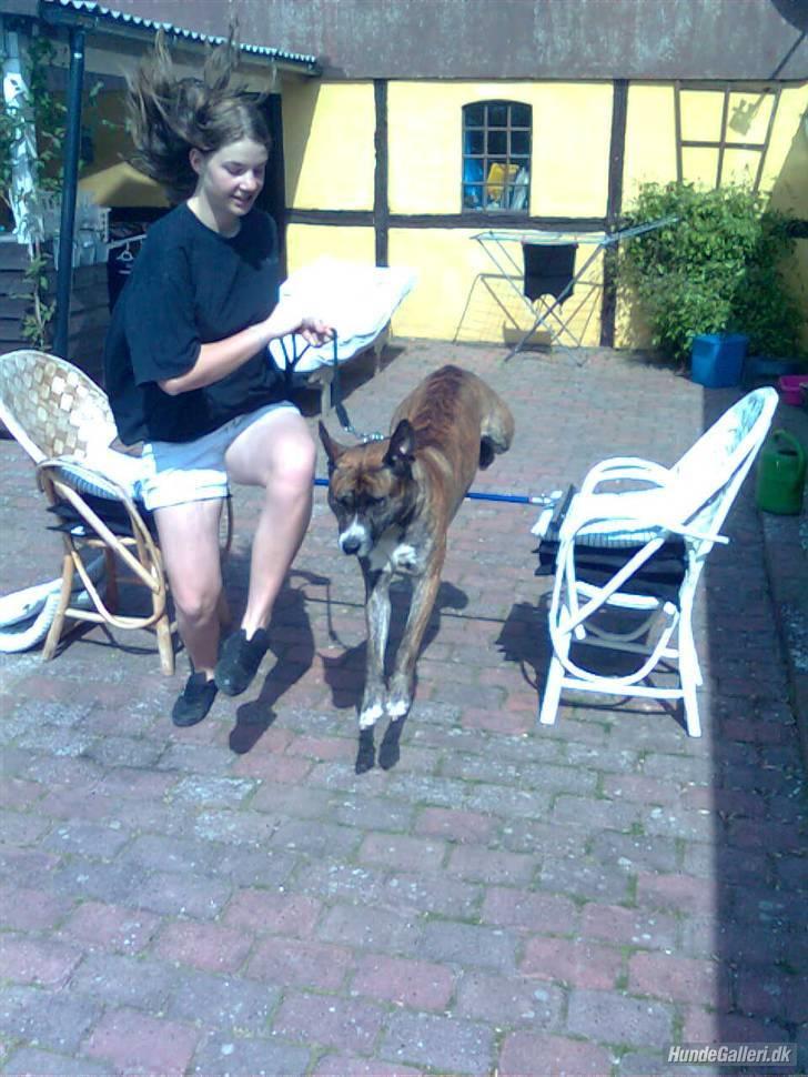 Blanding af racer Charlie R.I.P billede 13