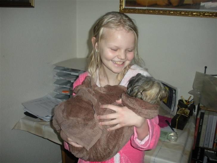 Lhasa apso Bette my - To nybadede damer billede 9