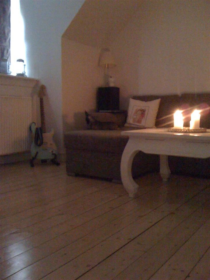 Chihuahua Honey billede 14