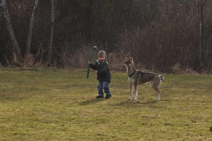 Blanding af racer Ricka - Smid nu den bold.... billede 4