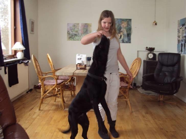 Blanding af racer Pjuske<3 - 14. Et lille trikcs xD  billede 14