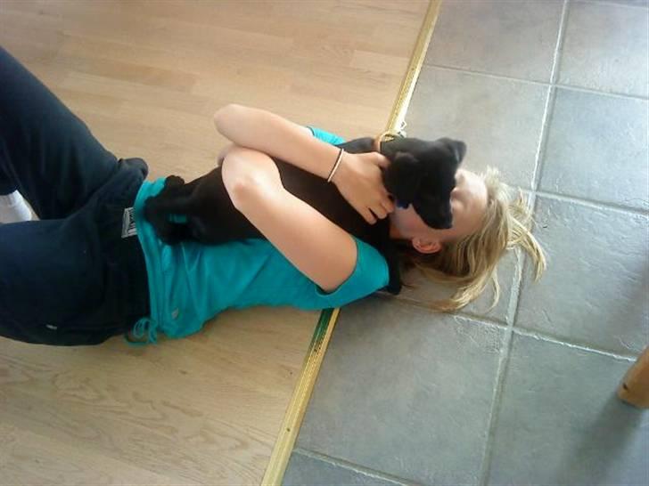 Labrador retriever Baloo - mig og Baloo leger i stuen da han var lille! :D <3 billede 3