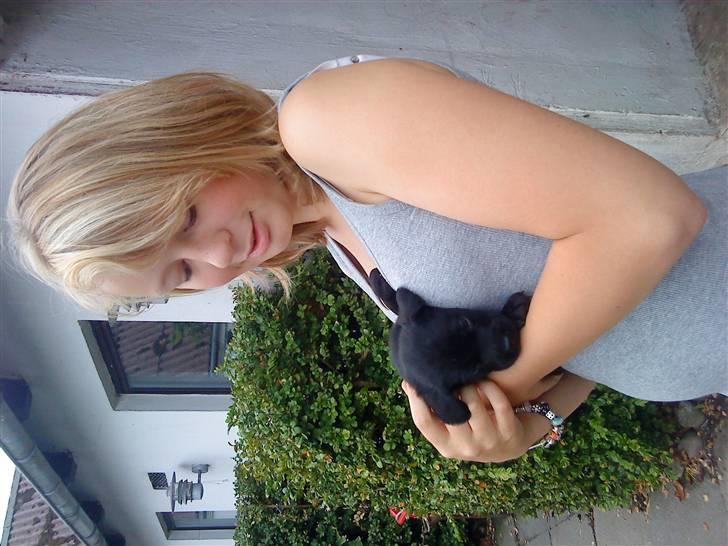 Labrador retriever Baloo - kærelighed ved første blik! :D billede 6