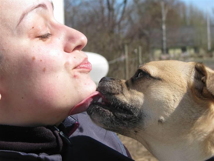 Blanding af racer charlie billede 18