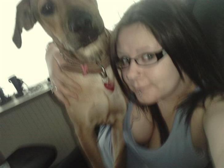 Blanding af racer Kahloua - havde sat mig i hendes stol, det var hun ikke helt tilfreds med :p billede 6