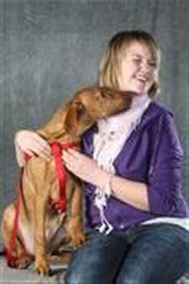 Rhodesian ridgeback zaliwa billede 16