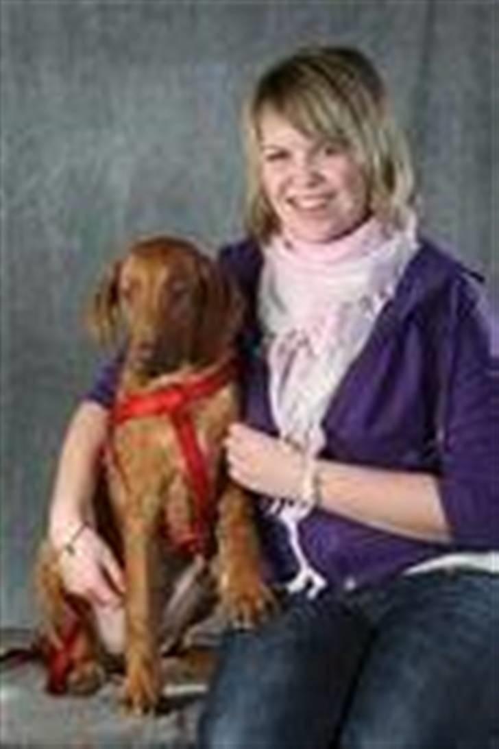 Rhodesian ridgeback zaliwa billede 19